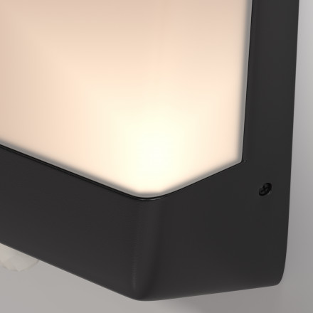 Уличный настенный светодиодный светильник Maytoni Outdoor Row O448WL-L9GF3KSR