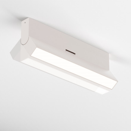 Потолочный светодиодный светильник Maytoni Technical Basis Rot C133CL-12W4K-W