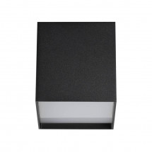 Потолочный светодиодный светильник Odeon Light Roxy 4233/10CL