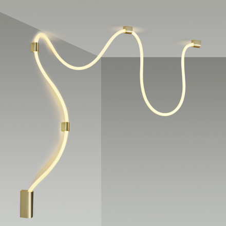 Настенный светодиодный светильник Odeon Light Corda 4397/30CL