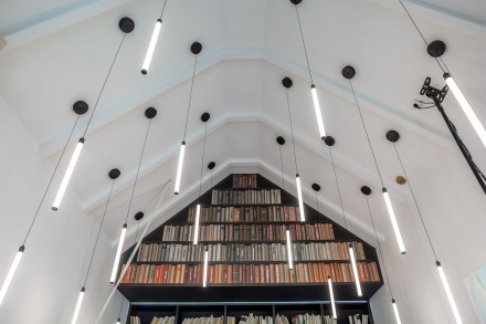 Подвесной светодиодный светильник Maytoni Ray P021PL-L10B