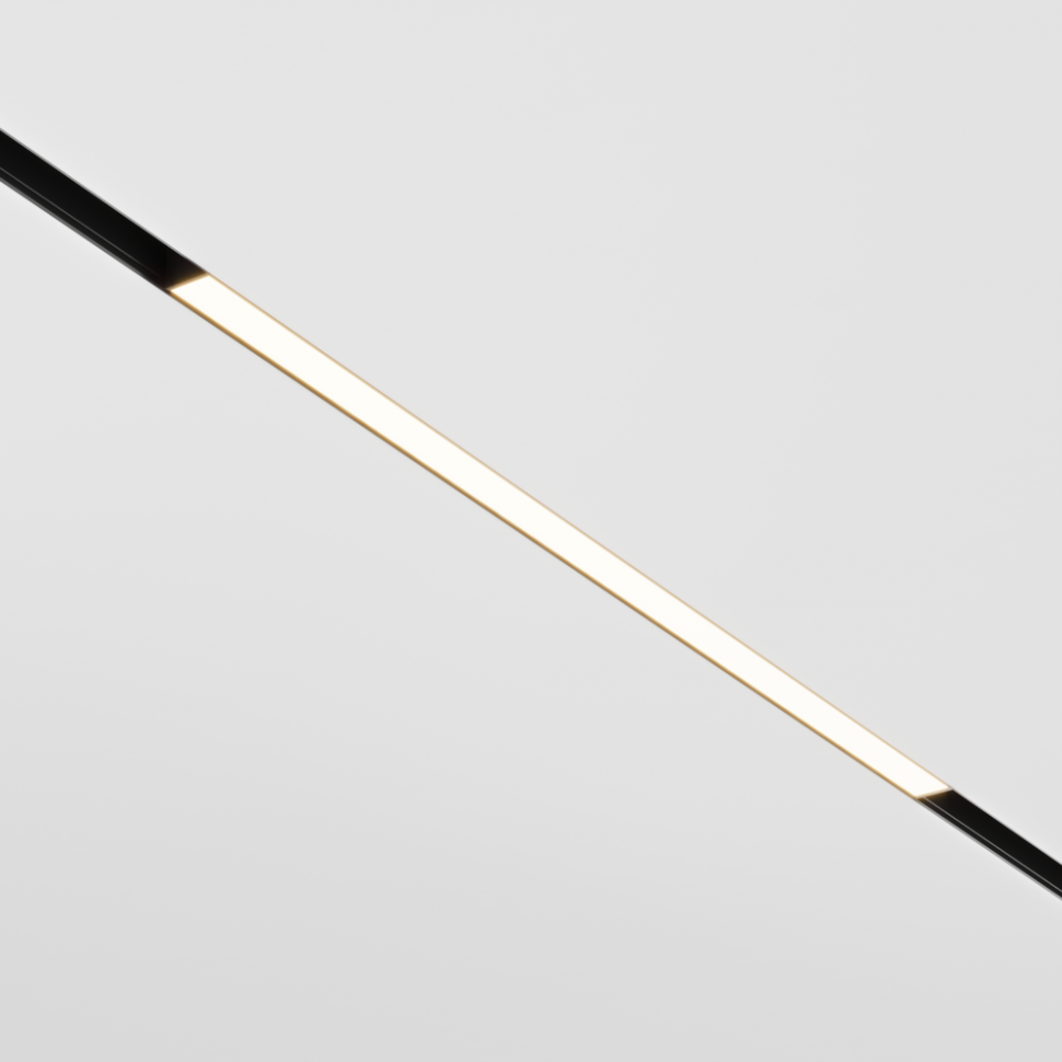 Трековый светильник Maytoni BASIS TR030-2-24W3K-B