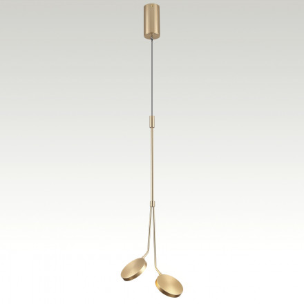 Подвесная светодиодная люстра Odeon Light Maro 5011/16L