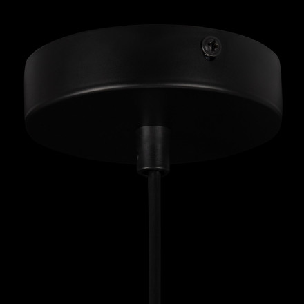 Подвесной светильни Freya Come FR8011PL-01N