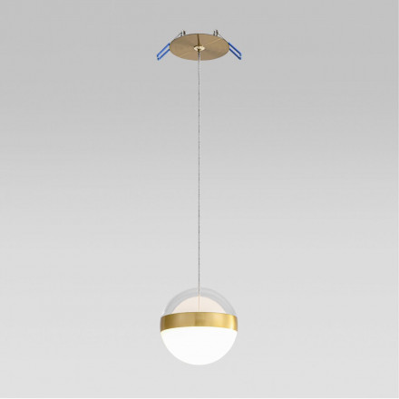 Подвесной светильник Odeon Light RONI 5036/12L