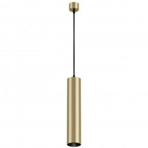 Подвесной светильник Maytoni Technical Focus P075PL-01MG