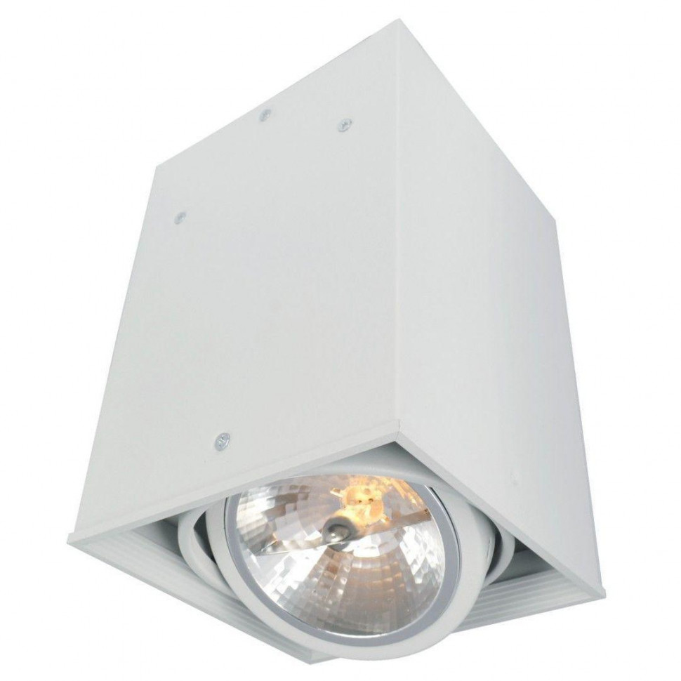 Потолочный светильник Arte Lamp Cardani A5936PL-1WH