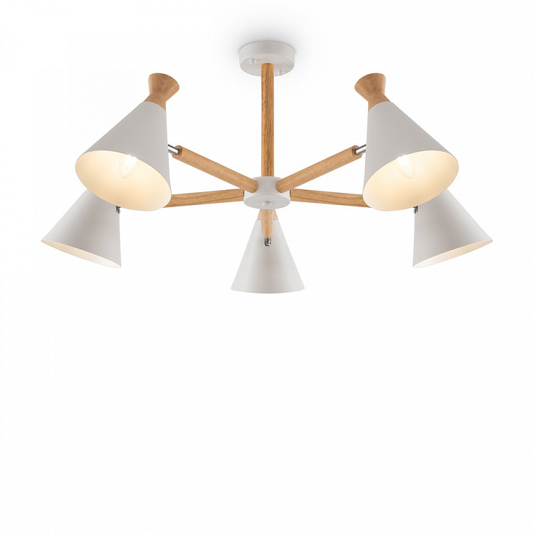 Люстра потолочная Freya Rise FR5169PL-05W