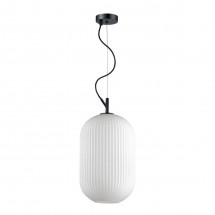 Подвесной светильник Odeon Light Roofi 4752/1