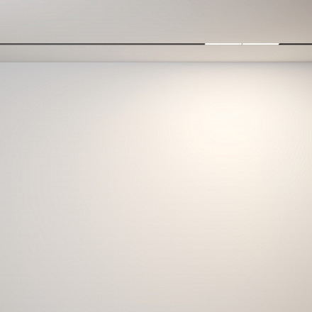 Трековый магнитный светодиодный светильник Maytoni Exility Parete TR106-2-12W3K-B