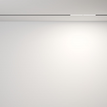 Трековый светодиодный светильник Maytoni Technical Parete TR106-4-12W-DS-B