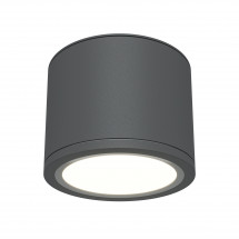 Светильник потолочный Maytoni Rendo C095CL-GX53-GR