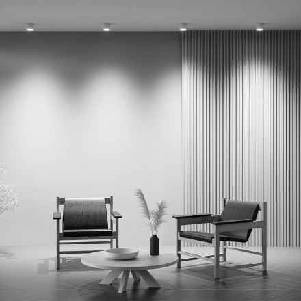 Светильник потолочный Maytoni Rendo C095CL-GX53-W