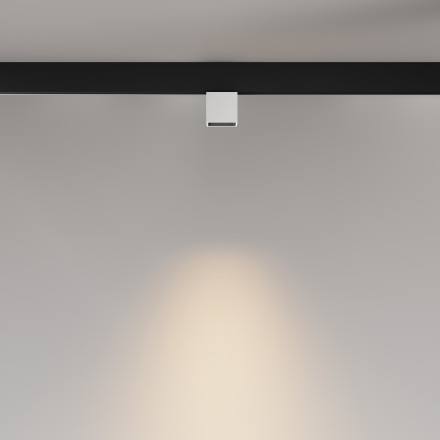 Трековый магнитный светодиодный светильник Maytoni Exility Alfa S TR133-2-7W3K-W