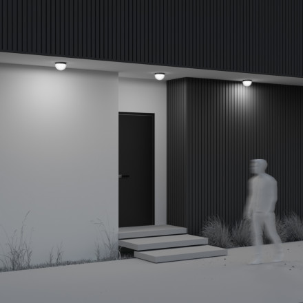 Уличный потолочный светильник Maytoni Outdoor Mon O438CL-L12GF3K