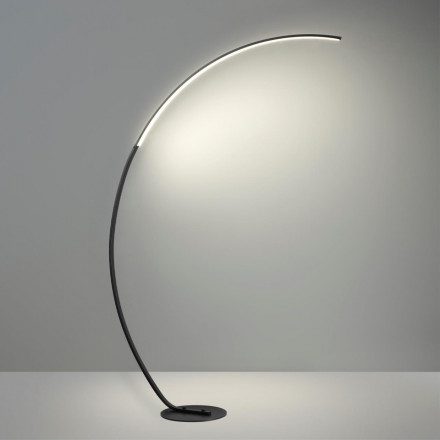 Торшер Lumion WES 5676/21FL