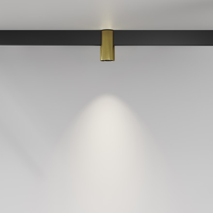 Трековый магнитный светодиодный светильник Maytoni Exility Alfa TR122-2-7W4K-BS