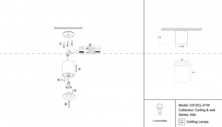 Потолочный светильник Maytoni Alfa C012CL-01W