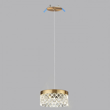 Подвесной светильник Odeon Light FIVRE 5032/6L