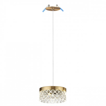 Подвесной светильник Odeon Light FIVRE 5032/6L