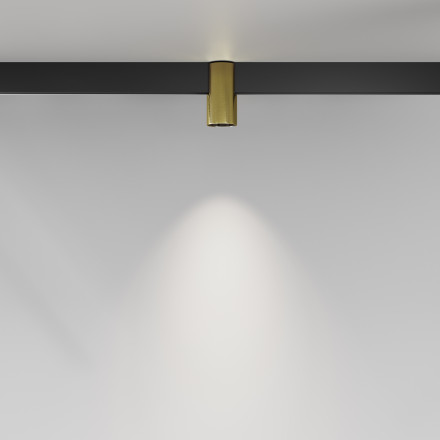 Трековый магнитный светодиодный светильник Maytoni Exility Alfa TR122-4-7W-DS-BS