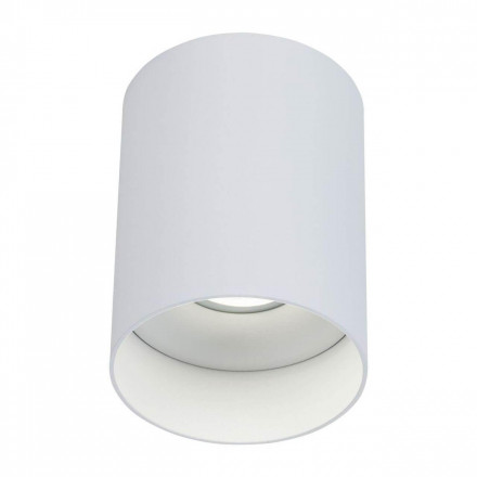 Потолочный светильник Maytoni Alfa C014CL-01W