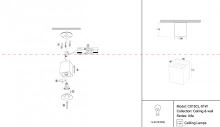 Потолочный светильник Maytoni Alfa C015CL-01W