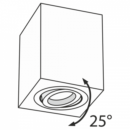 Потолочный светильник Maytoni Alfa C017CL-01W