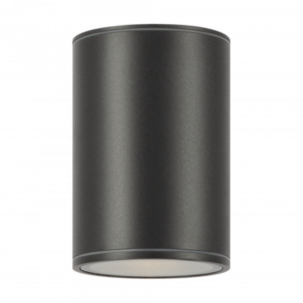 Уличный потолочный светодиодный светильник Maytoni Bar O306CL-L7GF