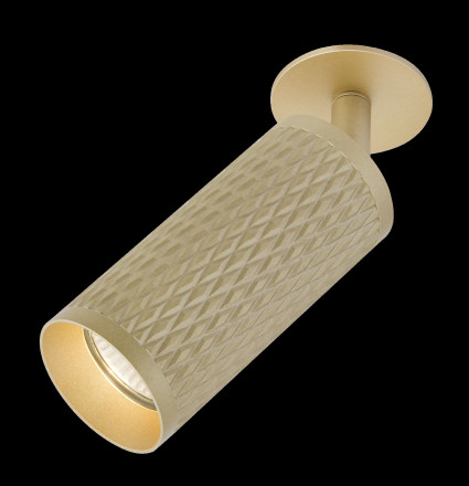 Встраиваемый спот Maytoni Focus Design C037CL-01G